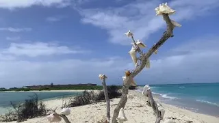 Florida: Dry Tortugas National Park