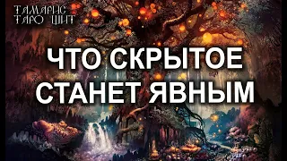 НЕОЖИДАННО! ЧТО СКРЫТОЕ СТАНЕТ ЯВНЫМ?🔥💯🔥 ГАДАНИЕ ОНЛАЙН  РАСКЛАД ТАРО