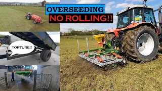 OVERSEEDING IN 3 STAGES, THIS IS THE REAL TEST!! & THE JOB I WISHED I NEVER STARTED!!!