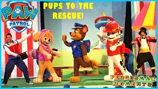 Paw Patrol Live Show Pups to the Rescue with Skye's 1st Mall Show in Asia