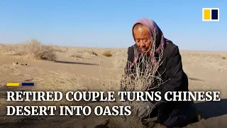 Retired Chinese couple dedicates nearly two decades turning desert into oasis