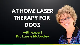 At Home Laser Therapy For Dogs with Dr. Laurie McCauley