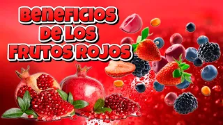 Beneficios De Los FRUTOS ROJOS 🍓🍒 7 frutos cargados de ANTIOXIDANTES