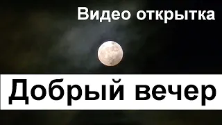 Добрый вечер! ПУСТЬ ВЕЧЕР СОГРЕЕТ ВАС ТЕПЛОМ. Очень Красивая Видео Открытка