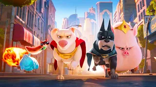 Superman Gets Captured By An Evil Guinea Pig & Krypto Creates League Of Super Pets To Rescue Him