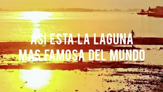 ASÍ ESTÁ LA LAGUNA MÁS FAMOSA DEL MUNDO AHORA 20 DE ENERO DE 2024 #chascomus #buenosaires #argentina