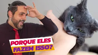 Porque o gato MORDE e ARRANHA o seu tutor.