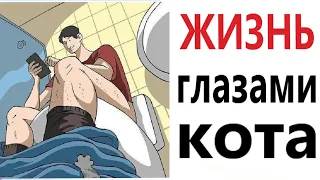 ПРИКОЛЫ! ЖИЗНЬ ГЛАЗАМИ КОТА!!! Угарные МЕМЫ, смешные истории от Доми шоу!