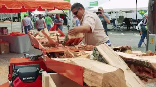 Log Splitters in Action | Wood-Mizer