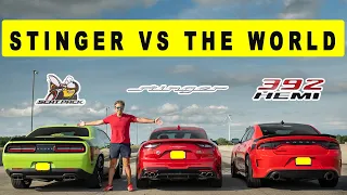 Kia Stinger GT AWD takes on Charger 392 and Challenger ScatPack, drag and roll race.