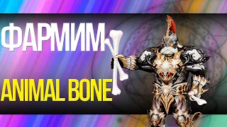 ЛЕГКИЙ ФАРМ КОСТЕЙ! НИ ОДНО ЖИВОТНОЕ НЕ ПОСТРАДАЛО! III FASt FARM ANIMAL BONE