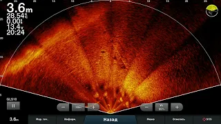 LiveScope      Сазанчиков нашел......