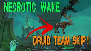 Necrotic Wake Dungeon Skip - Druid Specific !