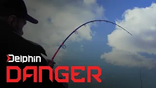 Delphin DANGER CatFISH