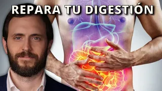 Cómo Reparar tu Digestión y tus Intestinos Paso a Paso