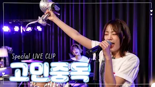 QWER - T.B.H | Special LIVE CLIP (ENG Lyrics O)