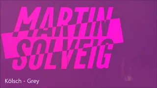 Martin Solveig Live @ Tomorrowland 2018 Drops Only !