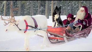 Santa Claus reindeer dog & Kilvo Elf 🐕🎅🎄🦌 Father Christmas ride for kids in Lapland Finland