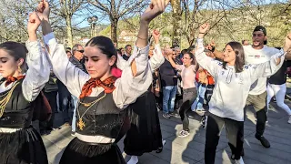 Roda das Concertinas ❤️ Arcos de Valdevez ❤️ em Dia de Bois da Páscoa