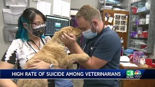 Veterinarians speak out about high rate of suicides in industry