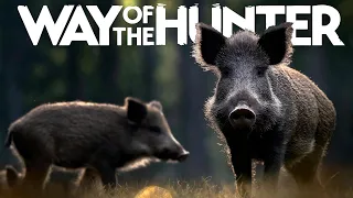 Zurück im europäischem Wald! || Way of the Hunter