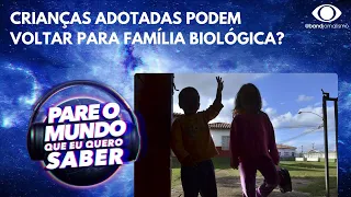 Crianças adotadas podem voltar para família biológica? Entenda como funciona adoção no Brasil