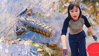 [ENG SUB] Xiao Zhang hit the beach  found lobsters in stone cracks  no one else got 'em! Big win!