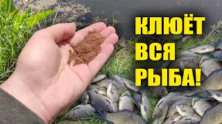 В АВГУСТЕ ВСЯ РЫБА КЛЮЁТ НА ЭТО!