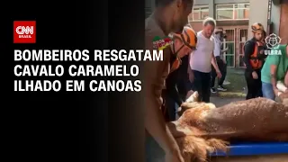 Bombeiros resgatam cavalo caramelo ilhado em Canoas | CNN 360º