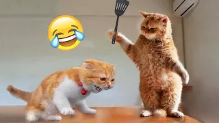 Попробуй не засмеяться 😁 Новые смешные видео с кошками и собаками 😹🐶 Часть 19