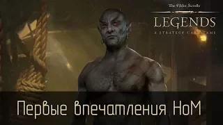 TES Legends: Первые впечатления от Houses of Morrowind