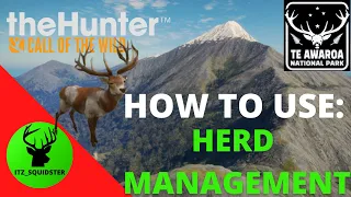 How to Use The HERD MANAGEMENT Technique | Thehunter: Call of the wild