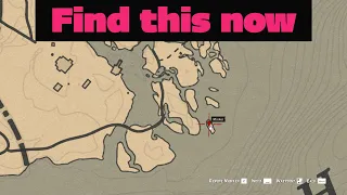 A treasure on a small island at edge of the map - RDR2