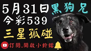 5/31黑狗兄539🐶三星孤碰⭐️⭐️⭐️🎊恭喜🎊上期中32✅記得訂閱，開啟小鈴鐺！)