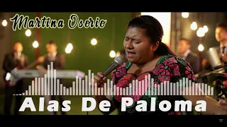 Alas De Paloma / Feat / Martina Osorio / Rcdo De San Pedro Soloma