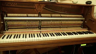 Transcriptions of Tom Brier performances played on my player piano