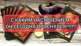 ✅🎇⁉️🎇✅ С КАКИМ НАСТРОЕНИЕМ ОН СЕГОДНЯ ПРОСНУЛСЯ ⁉️⁉️⁉️⁉️⁉️⁉️⁉️⁉️⁉️