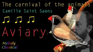 ♬ Camille SAINT-SAENS ♯ The Carnival of the Animals (X): AVIARY ♯