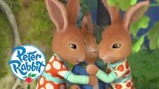 Peter Rabbit - Flopsy and Mopsy Teach Peter a Lesson | Cartoons for Kids