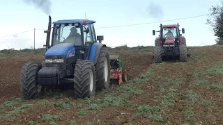 SOWING WHEAT 🌾 | 2× NEW HOLLAND M160 + COMBINED SEEDERS BREVIGLIERI/AMAZONE D8 - MASCHIO/AMAZONE D9