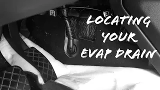 Puddles on your Floorboard in the Front Seats?  Check your EVAP Drains