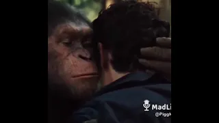 Planet Of The Apes ( voice over)