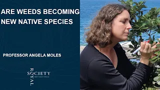 RSNSW Poggendorff Lecture 2020:  Are our weeds becoming new native species? (Prof. Angela Moles)