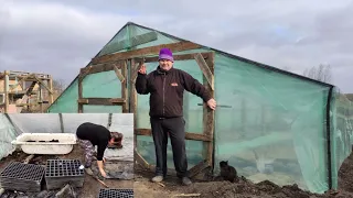 Бюджетна теплиця своїми руками. Сіємо розсаду.