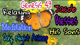 Genesis  49 (Jacob Blesses his Sons) Powerful Relaxing Meditation