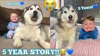 The Full 5 Year Story Of My Husky & Baby Becoming Best Friends!..😭.