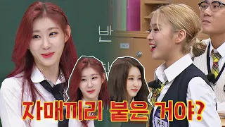 ENG l 장안의 화제였던 채령&채연의 합동 공연♨ 이미 했었던 자매의 댄스 배틀..? 아는 형님(Knowing bros) 278회