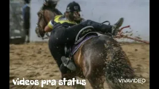 FESTA NA MARINA - MC DRICKA (video pra status de vaquejada) (os melhores videos pra status💥🌵