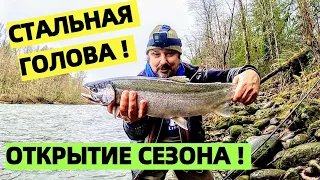 ПЕРВАЯ ТОРПЕДА СЕЗОНА! СТАЛЬНАЯ ГОЛОВА. РЫБАЛКА НА ЛОСОСЬ В США.