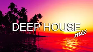 Avicii, Calvin Harris, Kygo, Alok, Robin Schulz, David Guetta, Gryffin   Summer Vibes Mix #255